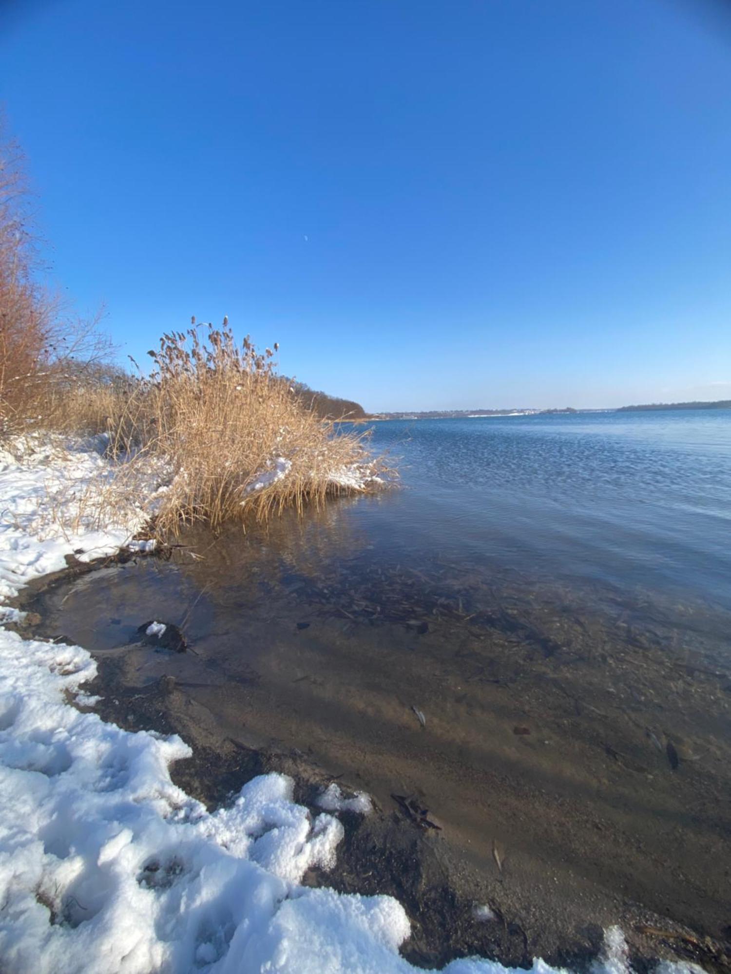 Pool & Lake Holiday Home Марклеберг Екстериор снимка